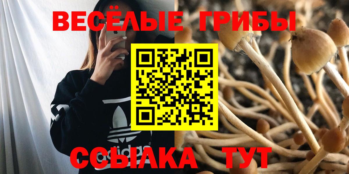 Галлюциногенные грибы прущие грибы Коряжма